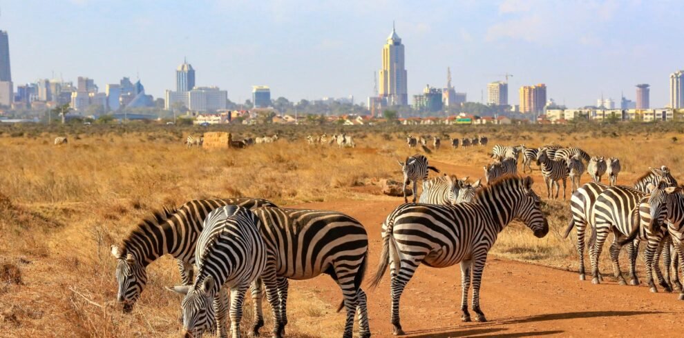 Kenia_Nairobi_Nationalpark